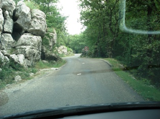 Bois des Pa&iuml;olives